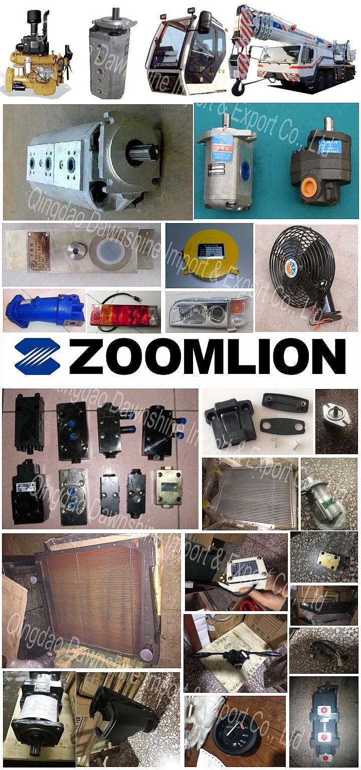 Original Zoomlion Crane Spare Parts Genuine Zoomlion Parts Price